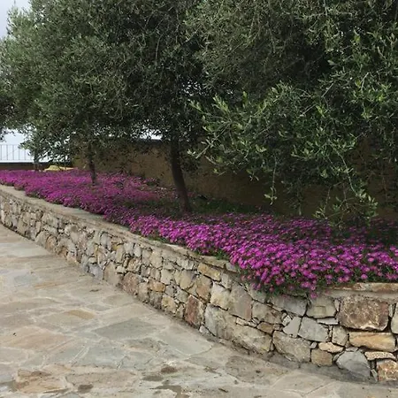 Colonial At Mediterranean Sea *